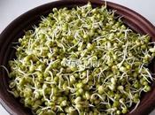 Make Moong Bean Sprouts