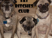 Bitches Club