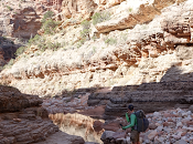 Seeing Light Dark Canyon