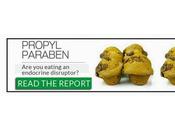 Harmful Ingredient Awareness Propyl Paraben, Should Care Read Report