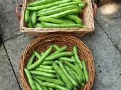 Spare Broad Beans Use?
