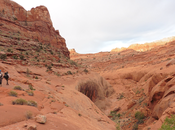 Stevens Canyon Coyote Gulch