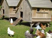 Blog Stats Fascinating Insights into What Reading.