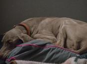 Aloft Hotel Calgary Dare Call This Love?