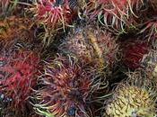 Benefits Uses Rambutan Skin, Hair Health