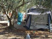 Family Campground Safety: Bugs, Breaks Burns