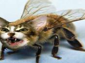 Problem Solving: Dealing with Toddler Tantrums