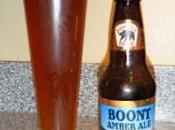 Beer Review Anderson Valley Brewing Boont Amber