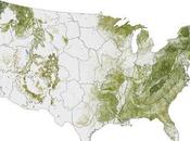 Where Trees Are: Biomass Shows Forest Cover Across U.S.