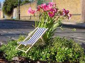 Pothole Gardener