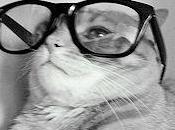 Cats Wearing Glasses