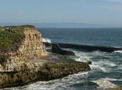 SANTA CRUZ, From Redwoods Seashore