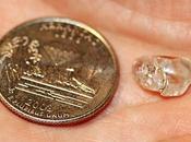 Hallelujah! Woman Finds 3.69-Carat Diamond Arkansas Park