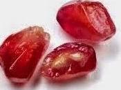 Peter Isely Resignation Bishop Finn, Abuse Survivors, Persephone's Pomegranate Seed