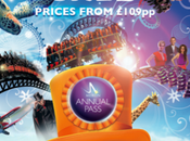 Make Your Merlin Summer Magical