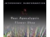 Intersonic Subformation: Apocalyptic Flower Shop