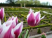 Parterre Revisit Hanbury Hall National Trust Property