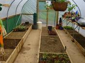 Polytunnel Progress