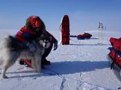 Dutch Explorers Missing Arctic