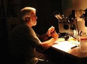 Crime Science Radio: Prosecution: Interview with Forensic Entomologist Goff
