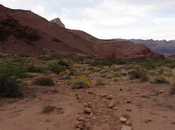 Grand Canyon: Beamer Trail Escalante Route