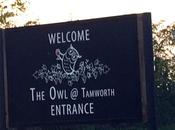 Review: Owl, Tamworth