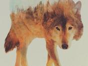 Andreas Habitats Within Animals Double Exposure Photography