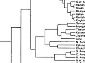 What Order Human Races Split Off?