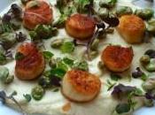 Healthy Recipe: French Seared Scallops with Spring Fava Beans Celery Root Puree