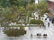 MoMA, Abby Aldrich Rockefeller Sculpture Garden, York