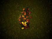 Enjoy Soothing Sounds Bird Courage ‘channels’ [stream]