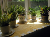 Great Green Project Ideas Your Children Benefit From