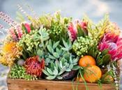 Sunday Bouquet: Succulents Citrus Wine Crate