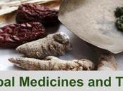 Chinese Herbal Medicines Their Benefits