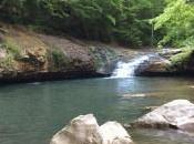 Risk Allows Make Money Stock Market