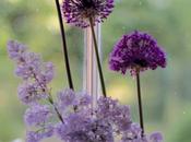 Vase Monday Alliums Lilac