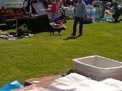 Selling Clutter Veggies