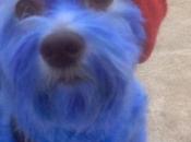 Animals Smurf Costumes Fancy Dress