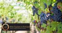 Wine Tourism Portugal