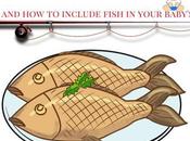 Introduce Fish Your Baby Why, When