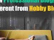 Professional Blogging Different from Hobby