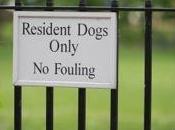 Fouling! David Investigates Inns Court