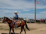 Cowboys, Horses States