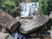 DAILY PHOTO: Waterfall with Boulders