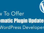 Offer Automatic Plugin Updates [WordPress Developers]