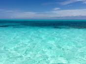 Best Snorkeling Locations Cozumel