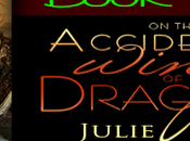 Accidental Wings Dragons Julie Wetzel: Book Blitz with Excerpt