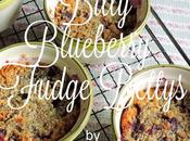 Bitty Blueberry Fudge Bettys