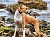 Easington Colliery Beach Jaunt