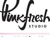 PinkFresh Studio Design Team June Blog